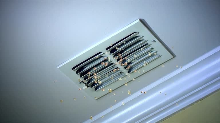 Best General Air Duct Cleaning  in South Holland, IL