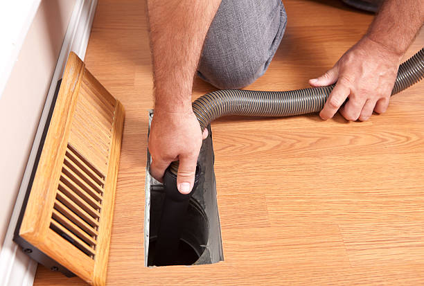 Best Air Duct Sanitizing Services  in South Holland, IL