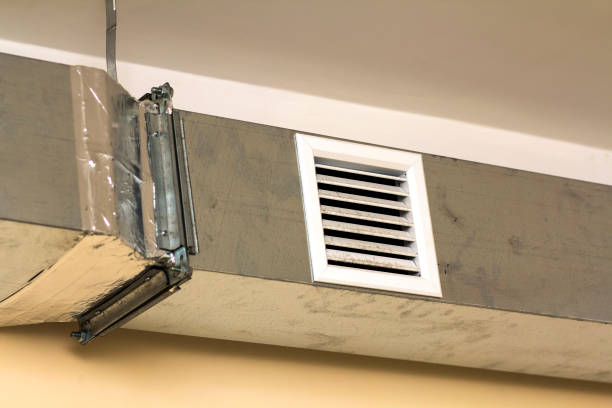 Best Professional Duct Cleaning Services  in South Holland, IL